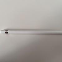 Apple Pencil 1ª generazione + Cover Apple