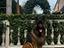 Immagine 4