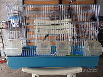 Gabbia per canarini 59x29 altezza 37 cm