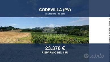Immobile in asta di 63140 m² a Codevilla