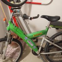 Mountain BIKE   Pininfarina  telaio 26