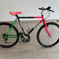 Bicicletta mtb