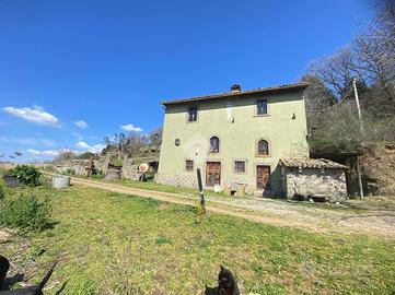 CASA DI CORTE A MONTEFIASCONE