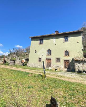 CASA DI CORTE A MONTEFIASCONE