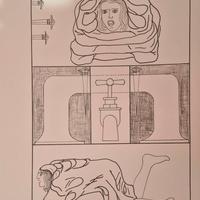 Litografia di Gianfranco Lamon Firmata e Numerata.