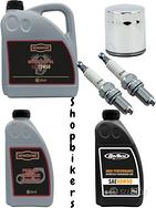 Kit Tagliando per Harley Davidson Dyna Softail