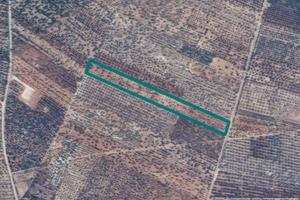 Terreni a Grumo Appula (BA)