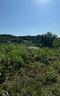 terreno-agricolo-a-caserta-via-cancello