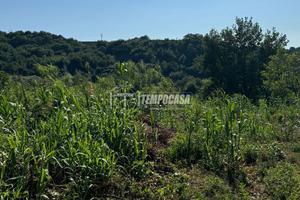 Terreno agricolo a Caserta Via Cancello