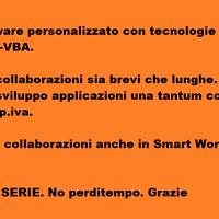 BIELLA - Analista programmatrice in VB, C# e altro