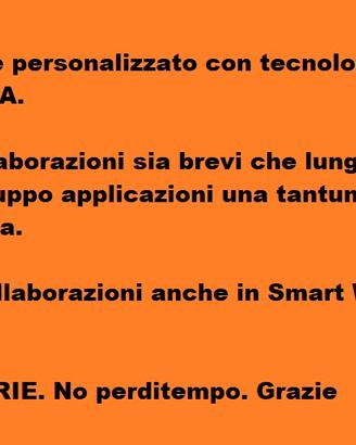 BIELLA - Analista programmatrice in VB, C# e altro