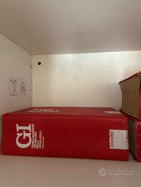 Vocabolario greco GI-liceo classico