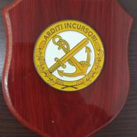 Crest Arditi Incursori