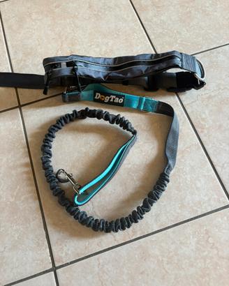 Guinzaglio per corsa / passeggiata con cane
