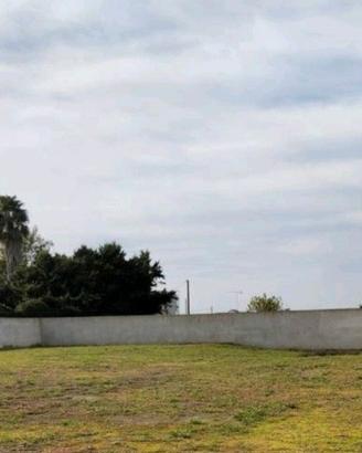 Terreno pianeggiante recintato