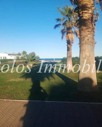 Appartamento - Porto Sant'Elpidio