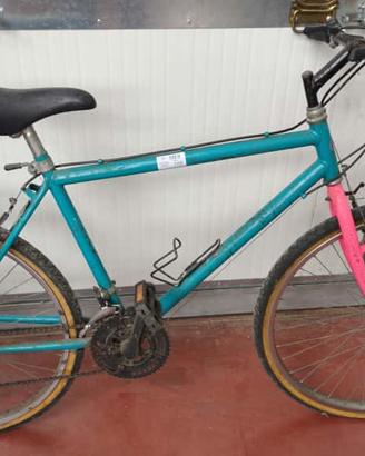 Bicicletta Mountain Bike varie misure.