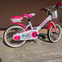 bicicletta ruota 16 pollici 