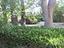 Immagine 14