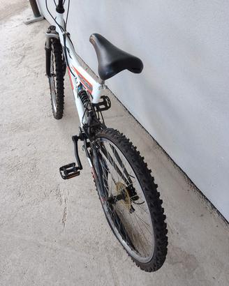 bicicletta