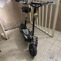 Monopattino elettrico 800/1000