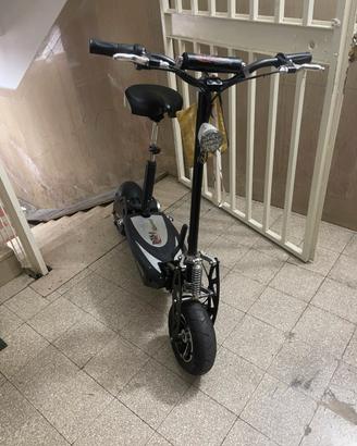 Monopattino elettrico 800/1000