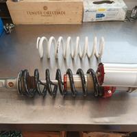 per Kawasaki kx 250-450 :  mono WP, piastre, mappe