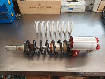 per Kawasaki kx 250-450 :  mono WP, piastre, mappe