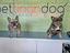 Immagine 6