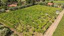 terreno-di-4230-m²-a-grottaferrata