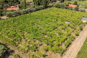 Terreno di 4230 m² a Grottaferrata