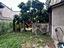Immagine 29