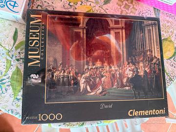 Puzzle 1000 pezzi