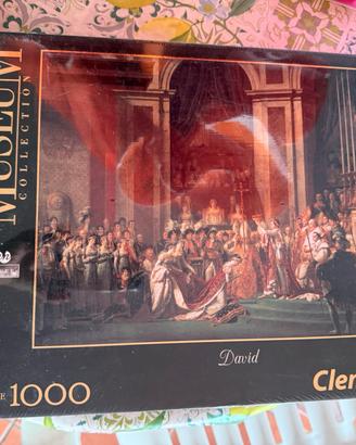 Puzzle 1000 pezzi