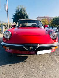 Alfa romeo spider