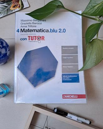 Libro matematica 4°anno|Matematica.blu 2.0