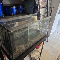 Acquario 80 lt + accessori