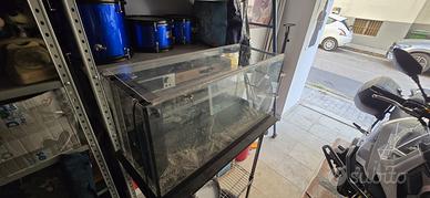Acquario 80 lt + accessori