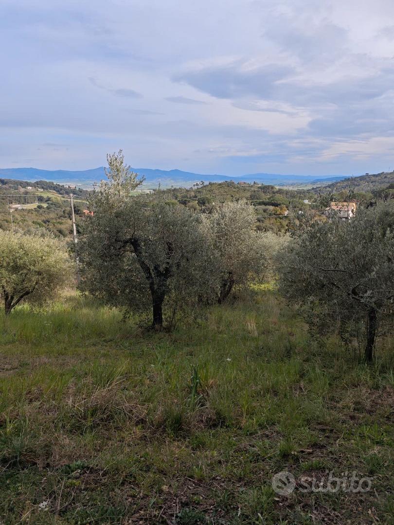 Terreno Agricolo - Gabbro (Rosignano Marit - Vista 4