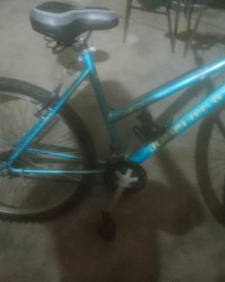 bicicletta .