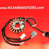 STATORE YAMAHA WR250R