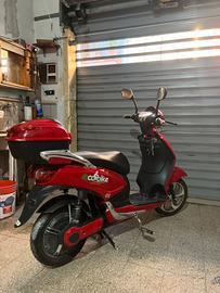 Bici elettrica