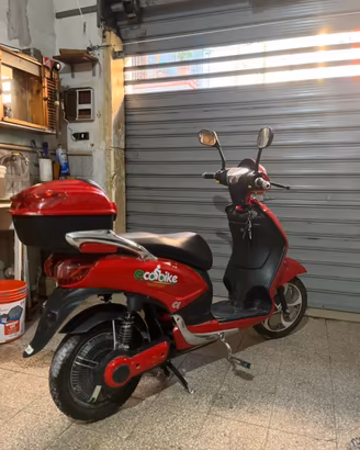 Bici elettrica