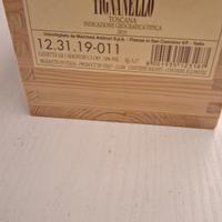 Tignanello 2019 magnum 