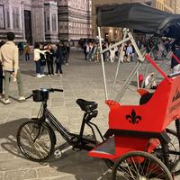 Risciò elettrico con grande autonomia e resistenza