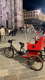 Risciò elettrico con grande autonomia e resistenza