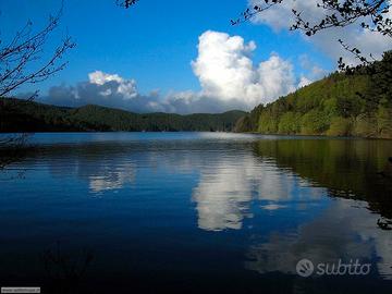 Vacanza Calabria Sila Villaggio Palumbo Palumbosil