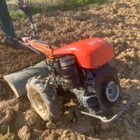 Goldoni Jolly Diesel 10 cv