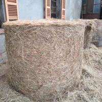 Rotoloni fieno maggengo