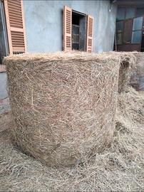 Rotoloni fieno maggengo